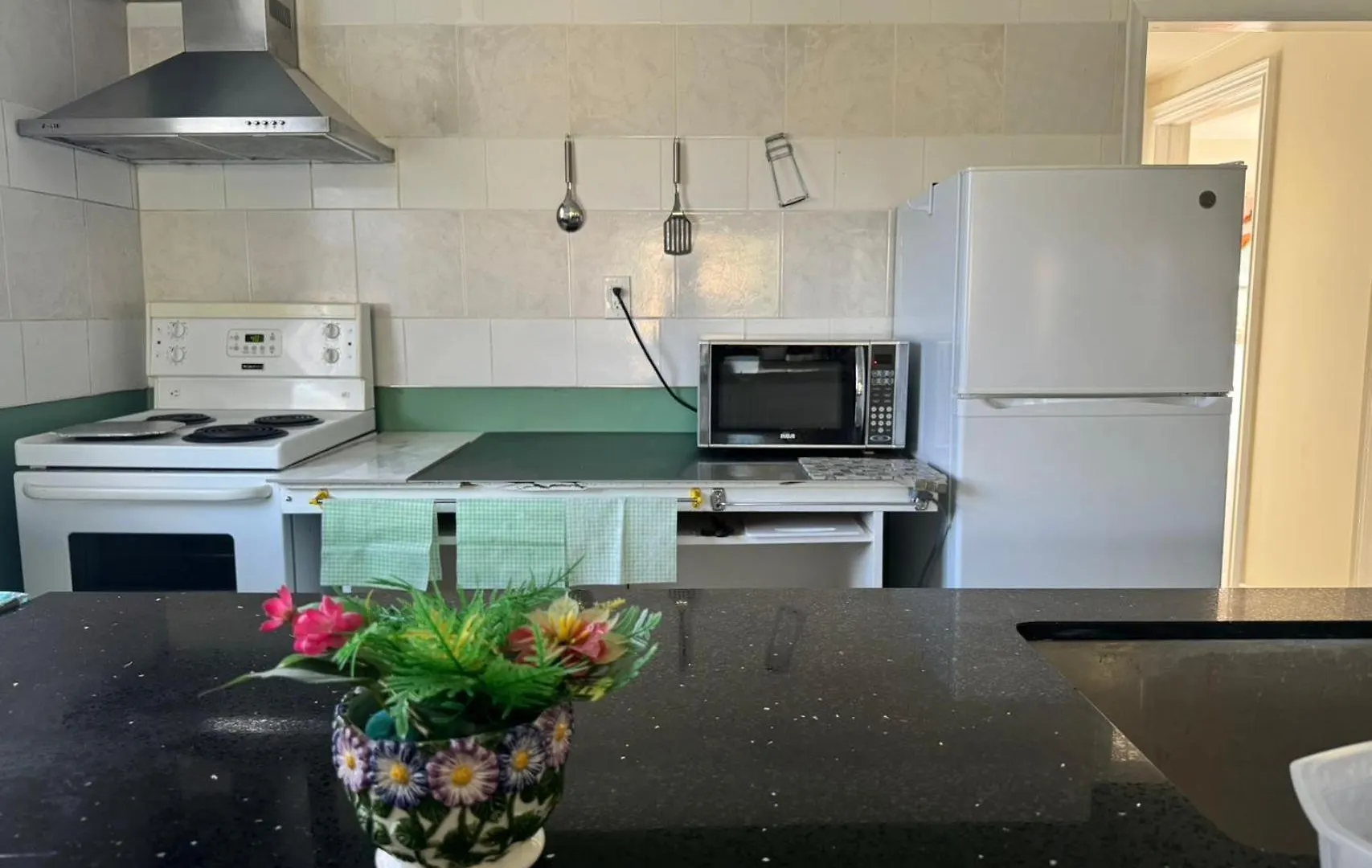 Queen Comfort Close To Finch Station & Shopping Toronto Guest house
